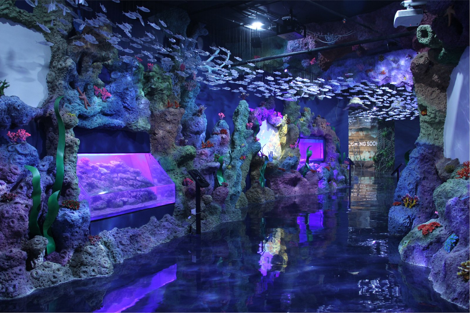 Jakarta Aquarium Safari