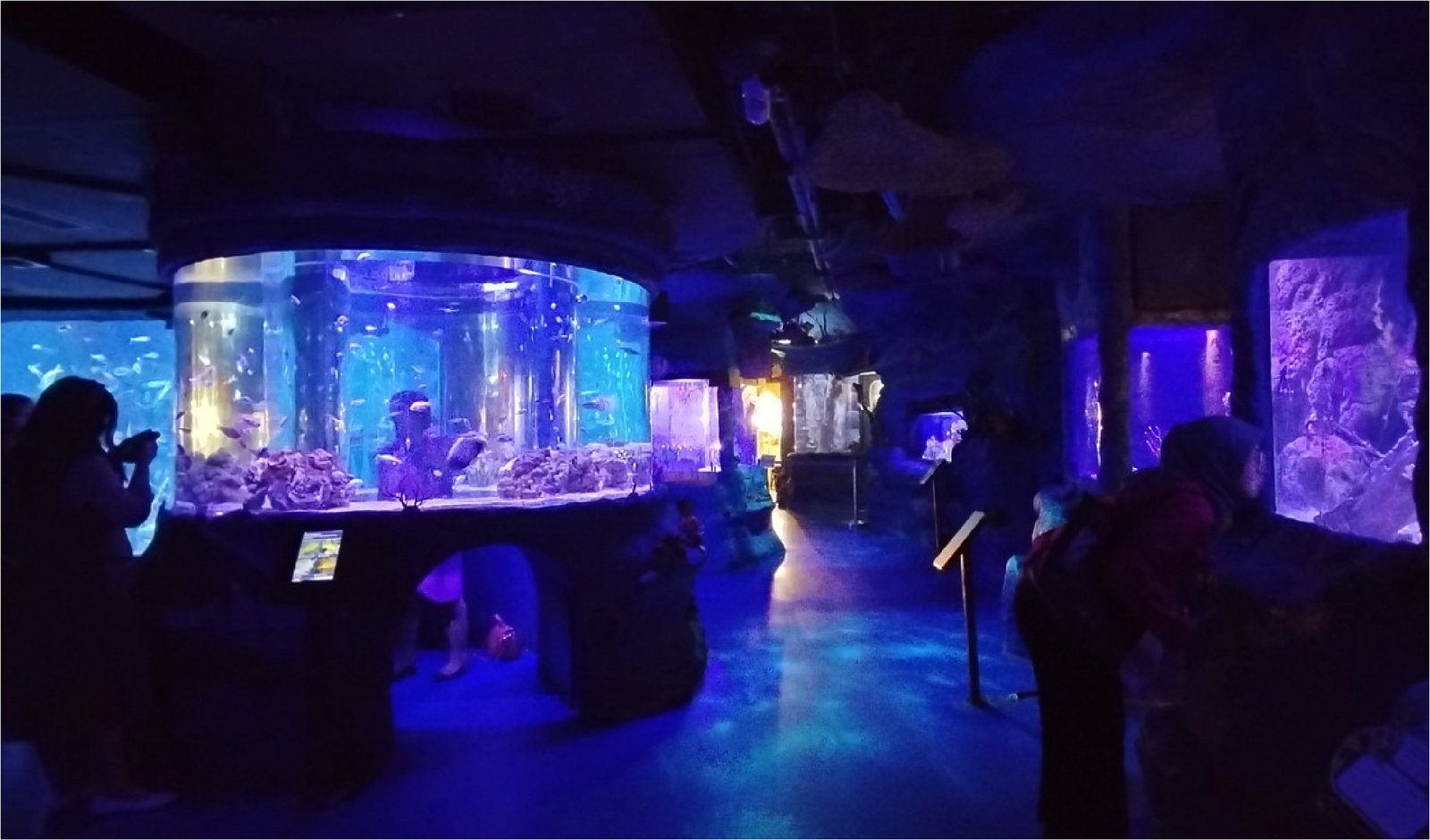Jakarta Aquarium Safari